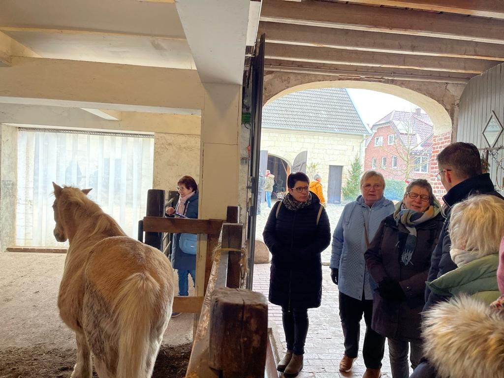 Gut Feismann Darup - Foto mit Pferd